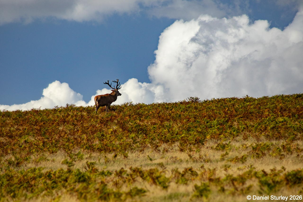 VISIT TO BRADGATE PARK IN LEICESTERSHIRE – OCTOBER 2026