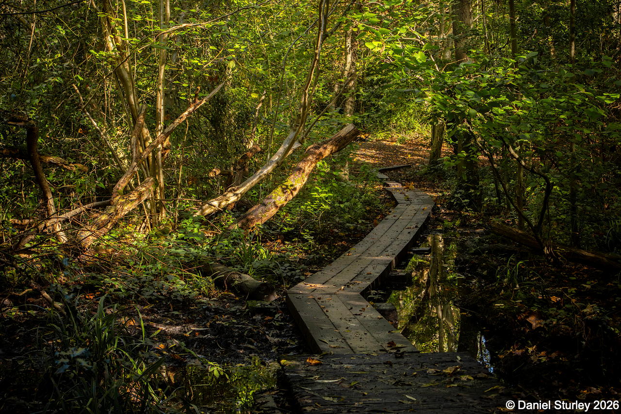 VISIT TO MOSELEY BOG IN BIRMINGHAM – OCTOBER 2026